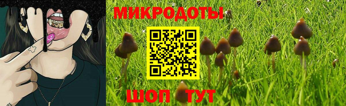Галлюциногенные грибы Magic Shrooms Можга