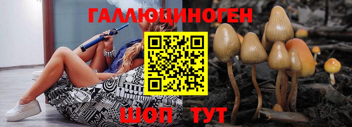 Галлюциногенные грибы Magic Shrooms  Псилоцибиновые грибы прущие грибы  Вход с VPN  Можга 